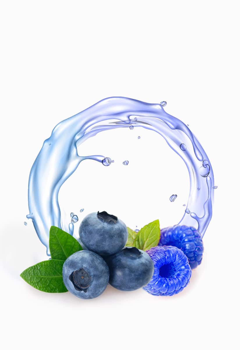 elfbar myrtille framboise