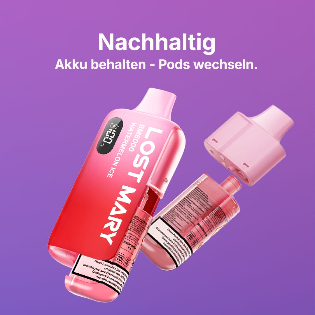 LOST MARY BM6000 V2 nachhaltig