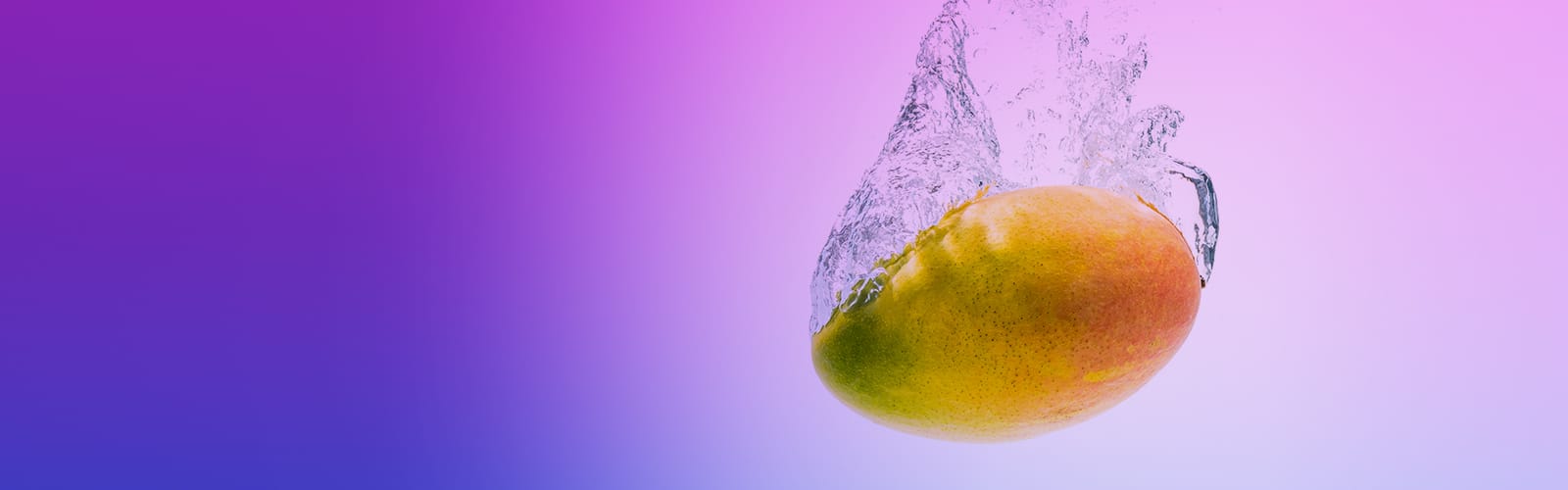 Mango mit Wassersplash vor violettem Verlaufshintergrund, freigestelltes Stimmungsbild