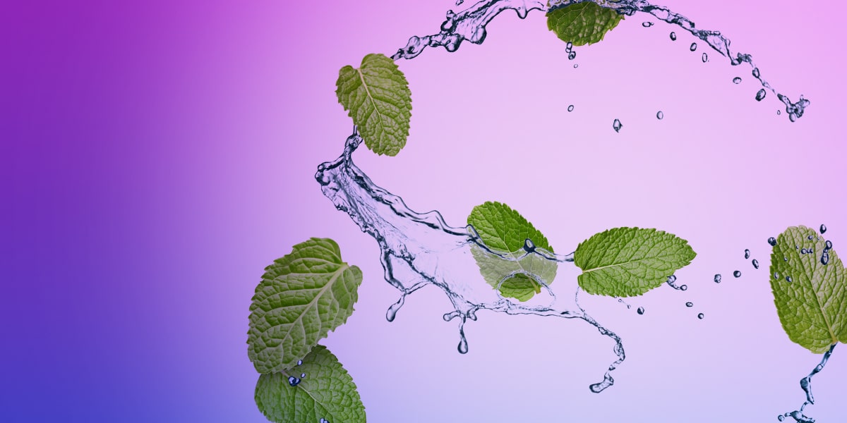 Minzblätter mit Wasserspritzern vor violettem Hintergrund, frischer Minze-Splash als Moodbild